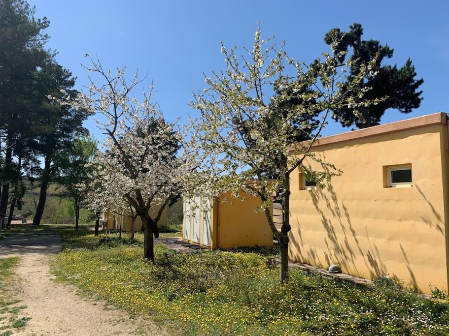 B&B Helga'S Agricampeggio Seùlo Exterior foto