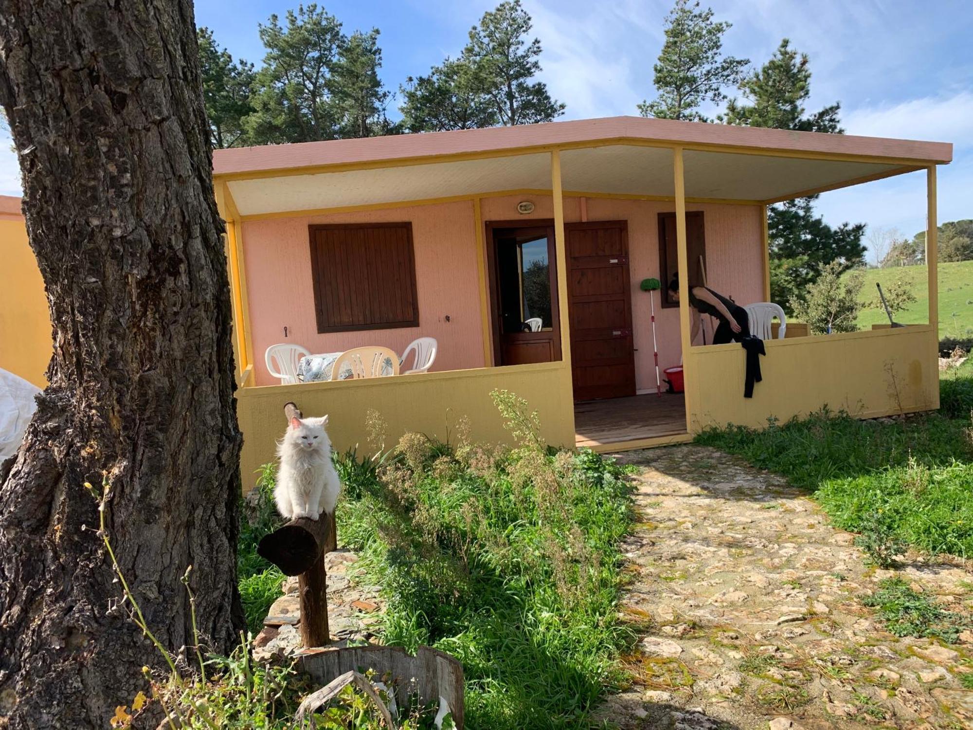 B&B Helga'S Agricampeggio Seùlo Exterior foto