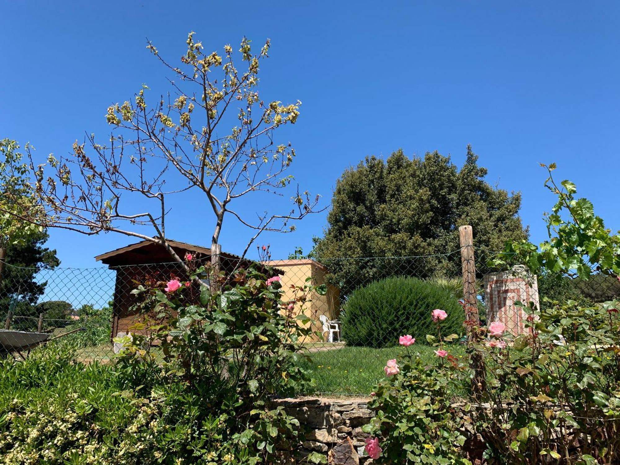B&B Helga'S Agricampeggio Seùlo Exterior foto
